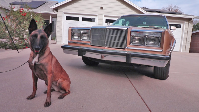Pita the drug detection dog, and my coked out Chrysler.